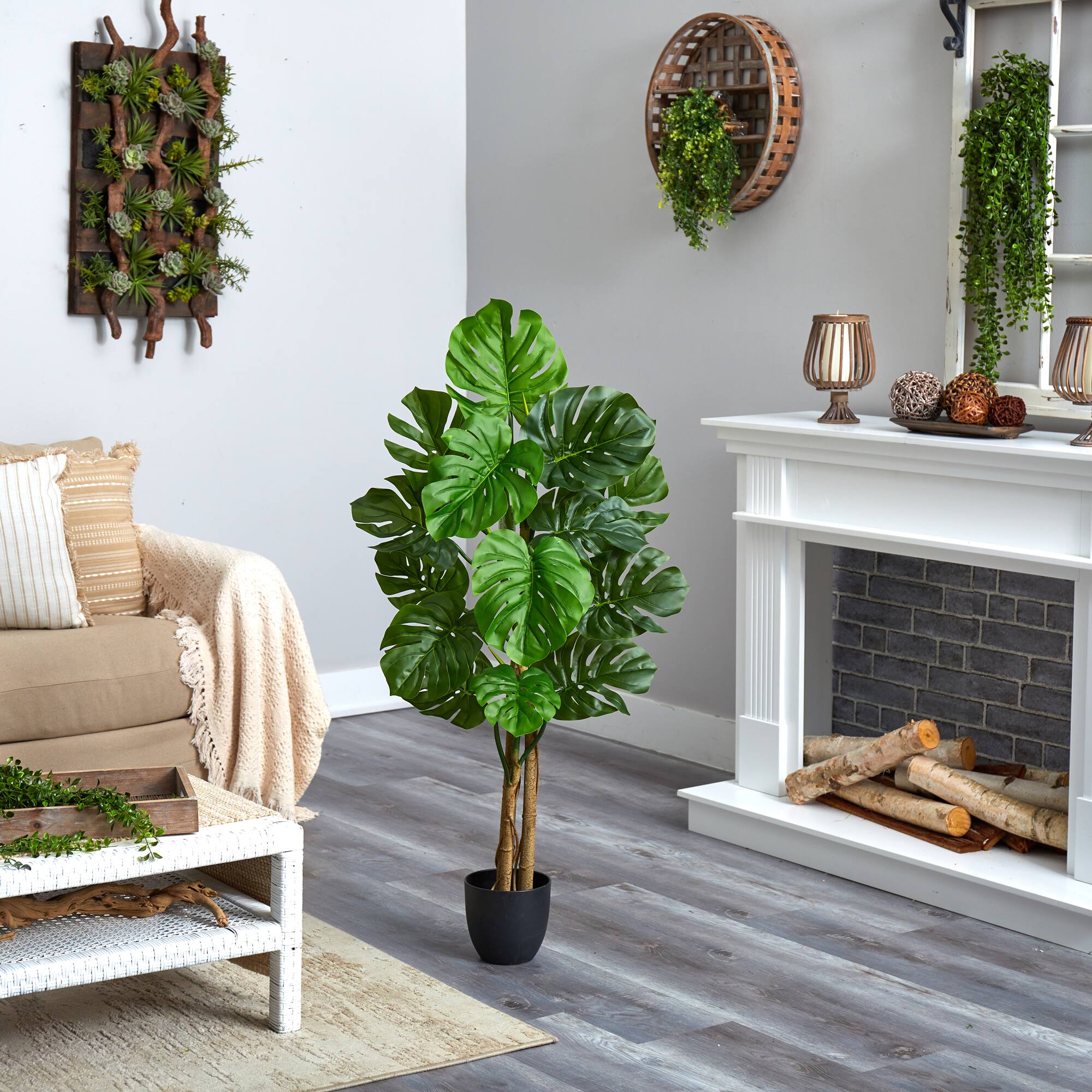 4ft. Potted Monstera Tree